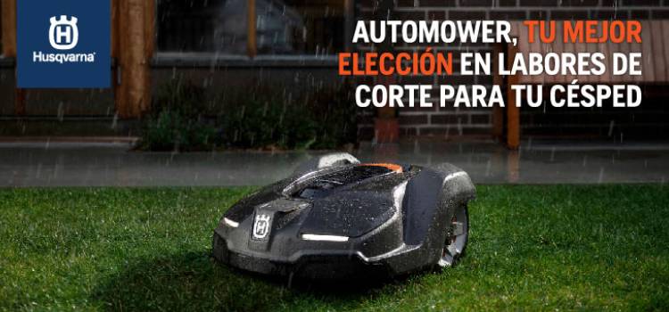 Tips para cuidar el césped en temporada de lluvias